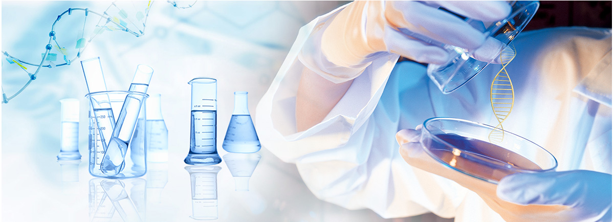 世界杯官网中文版功能性医用面料