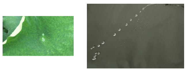 世界杯官网中文版医用纺织