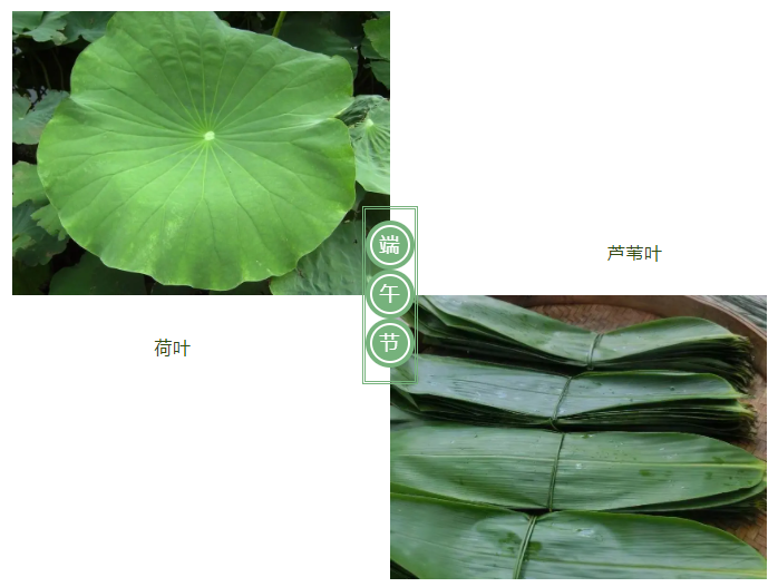 世界杯官网中文版医纺