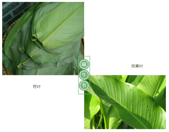 世界杯官网中文版医纺