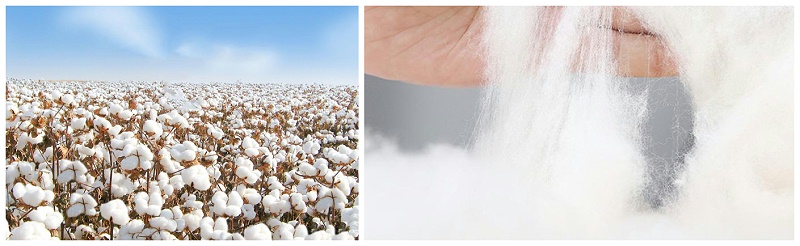 世界杯官网中文版医纺