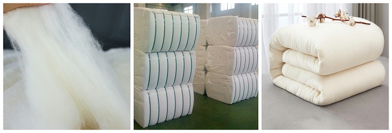 世界杯官网中文版医纺