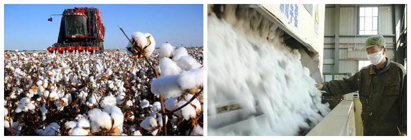 世界杯官网中文版医纺