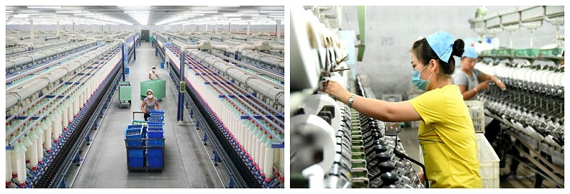 世界杯官网中文版医纺