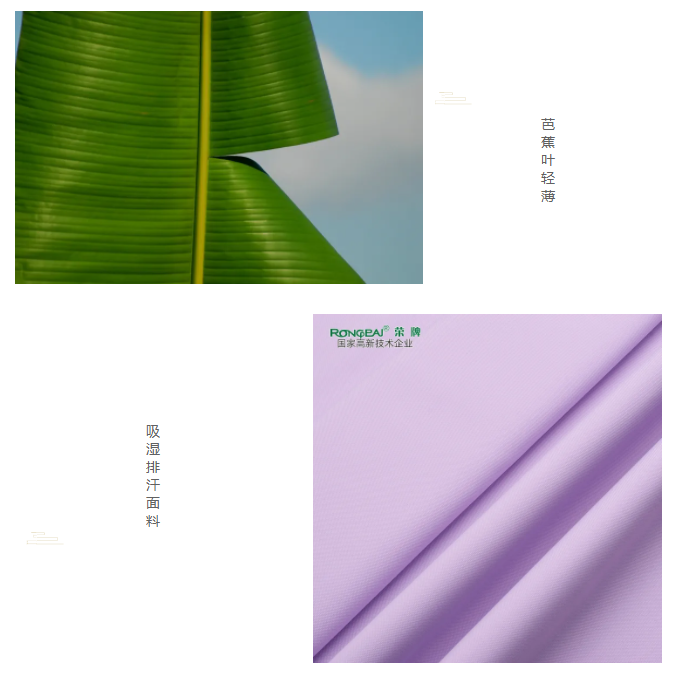 世界杯官网中文版医纺