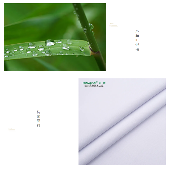 世界杯官网中文版医纺