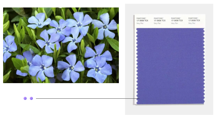 世界杯官网中文版纺织面料