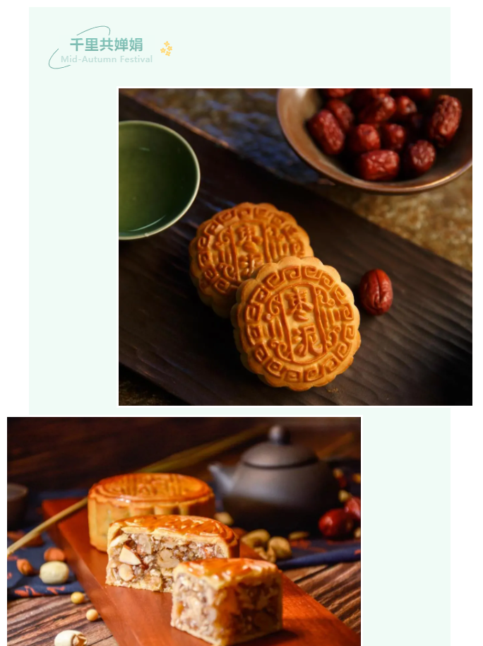 世界杯官网中文版医纺