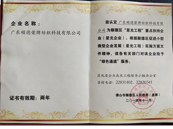 世界杯官网中文版荣获政府重点扶持企业